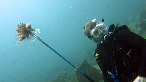 Invasive Lionfish Course