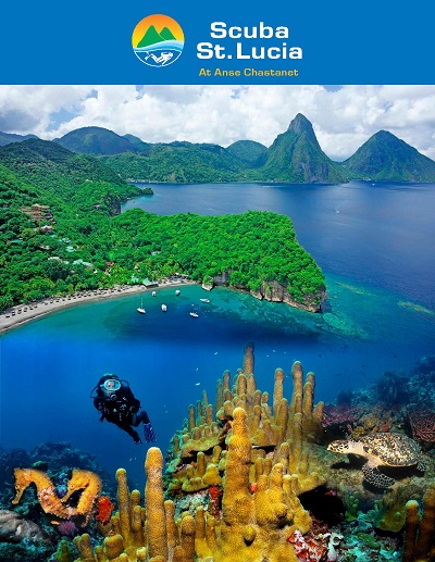 scuba brochure