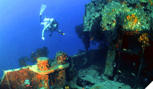 Wreck diving